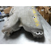 90X001 Upper Intake Manifold From 2008 Pontiac G6 3.5 12597139 90X001 Upper Intake Manifold From 2008 Pontiac G6 3.5 12597139